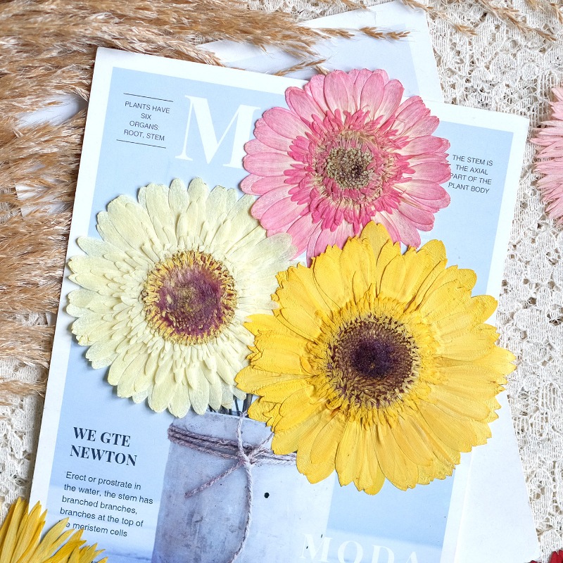 1pcs/7-9cm,Pressed Gerbera Dri - огляд і ціна Resin Art Phone Case