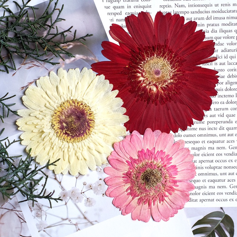 1pcs/7-9cm,Pressed Gerbera Dri - огляд і ціна Resin Art Phone Case