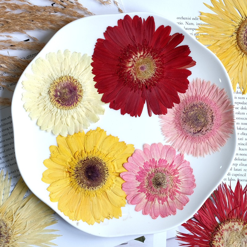 1pcs/7-9cm,Pressed Gerbera Dri - огляд і ціна Resin Art Phone Case